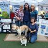 VCRC booth at Doggy Party on the Plaza. April 6, 2013.